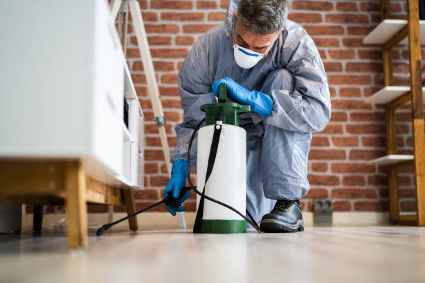 Best Real Estate Pest Inspections  in USA